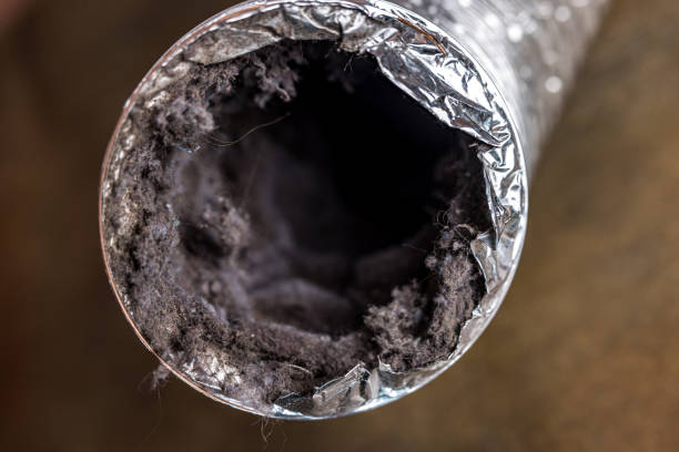 Best Commercial Air Duct Cleaning  in Warrensburg, MO